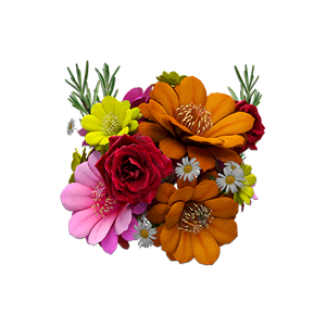 Flores