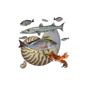 Pescado y marisco