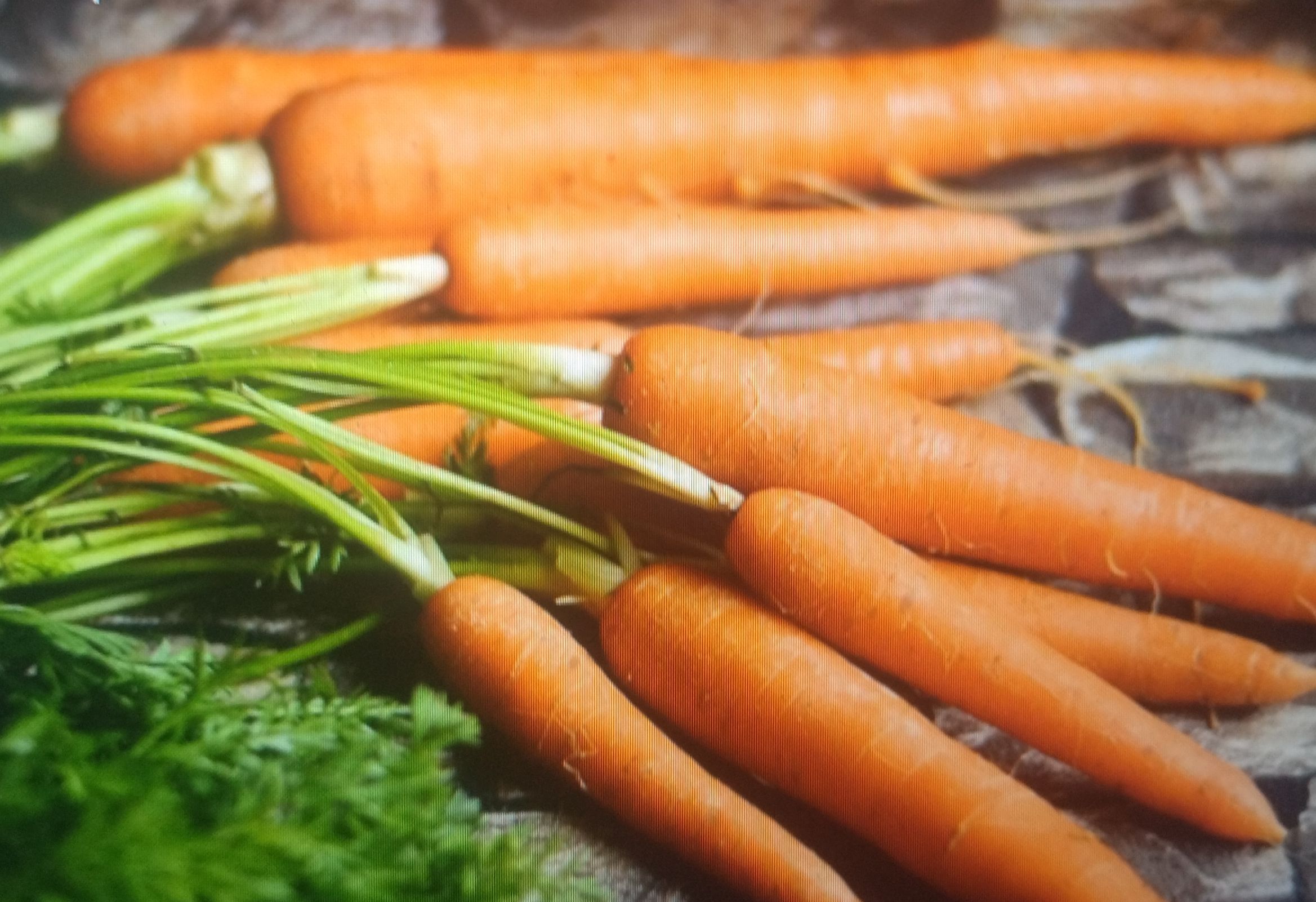 Carrots
