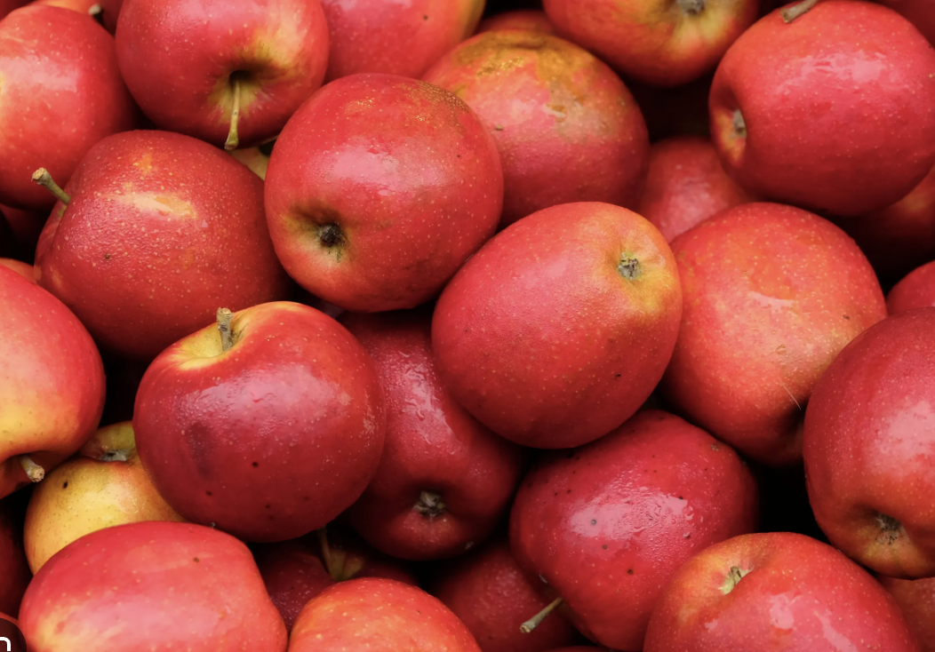 Fresh Organic Apples for Sale - Direct from the Farm