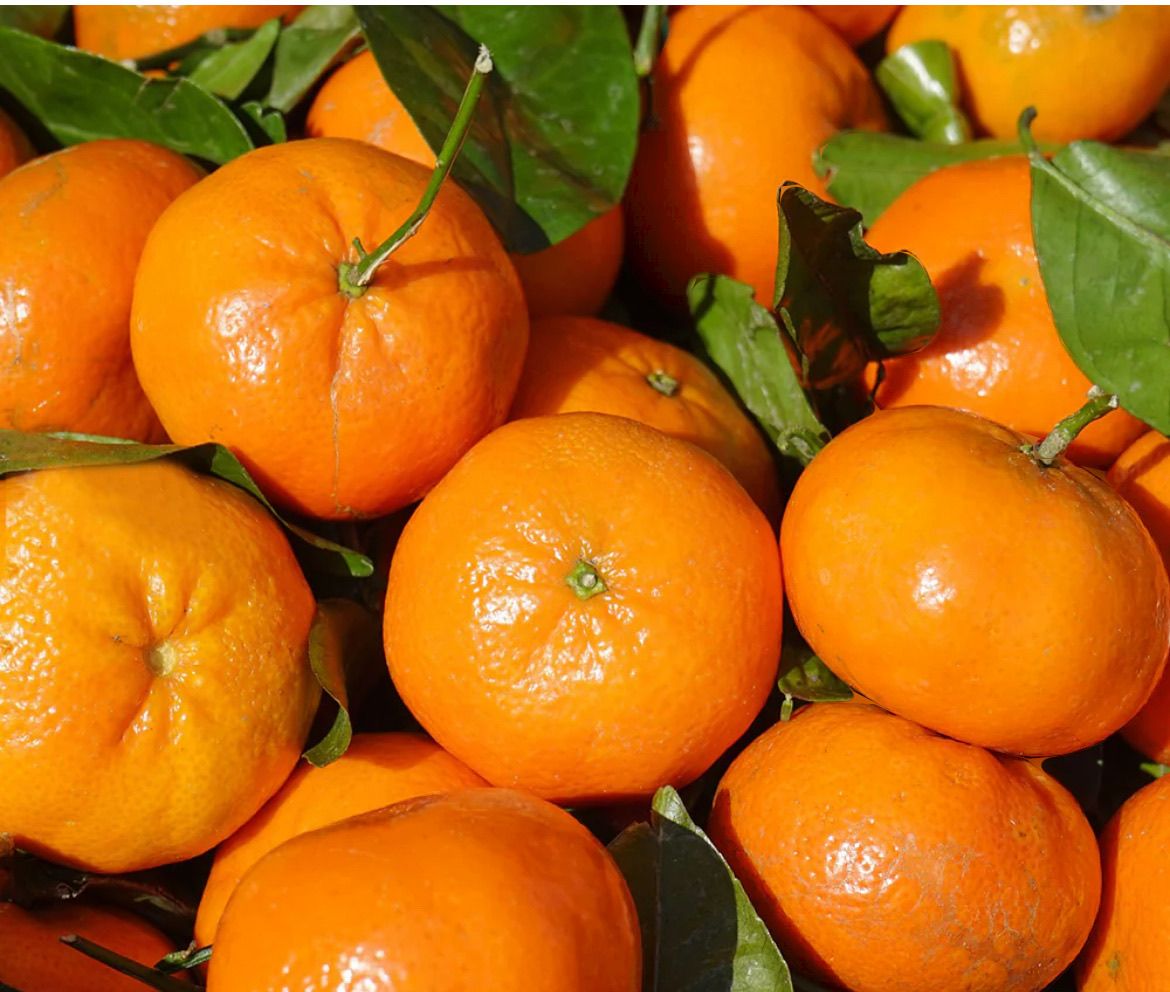 Mandarina Orri