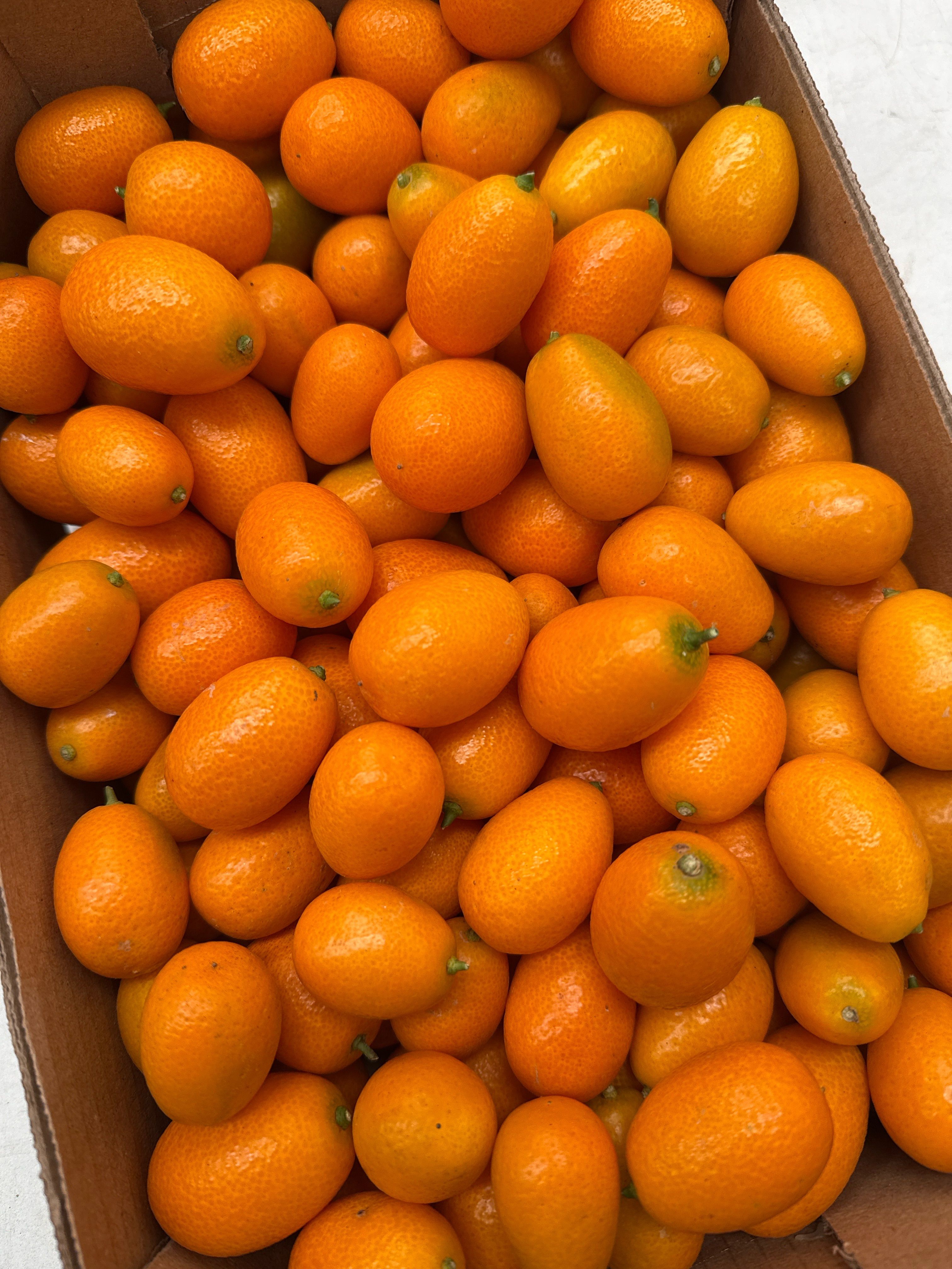 KUMQUAT
