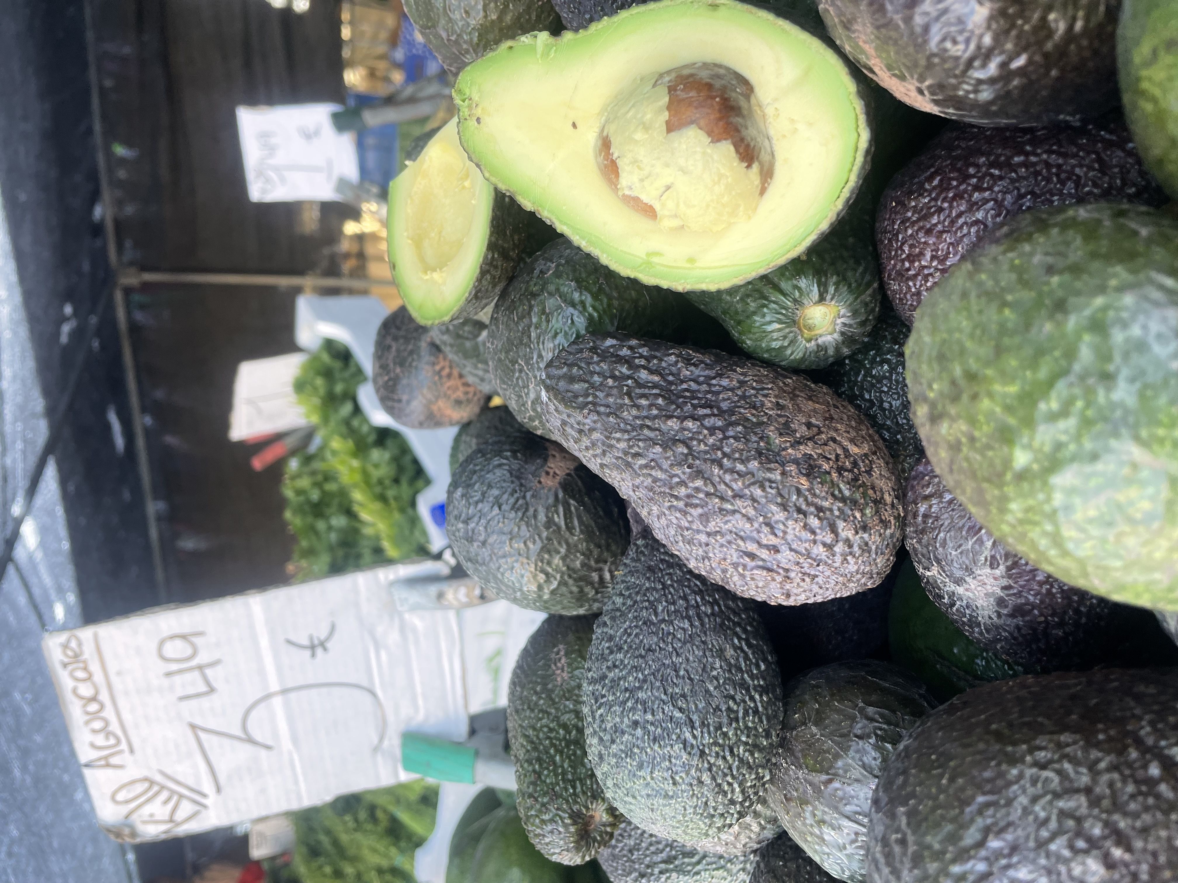 Aguacate