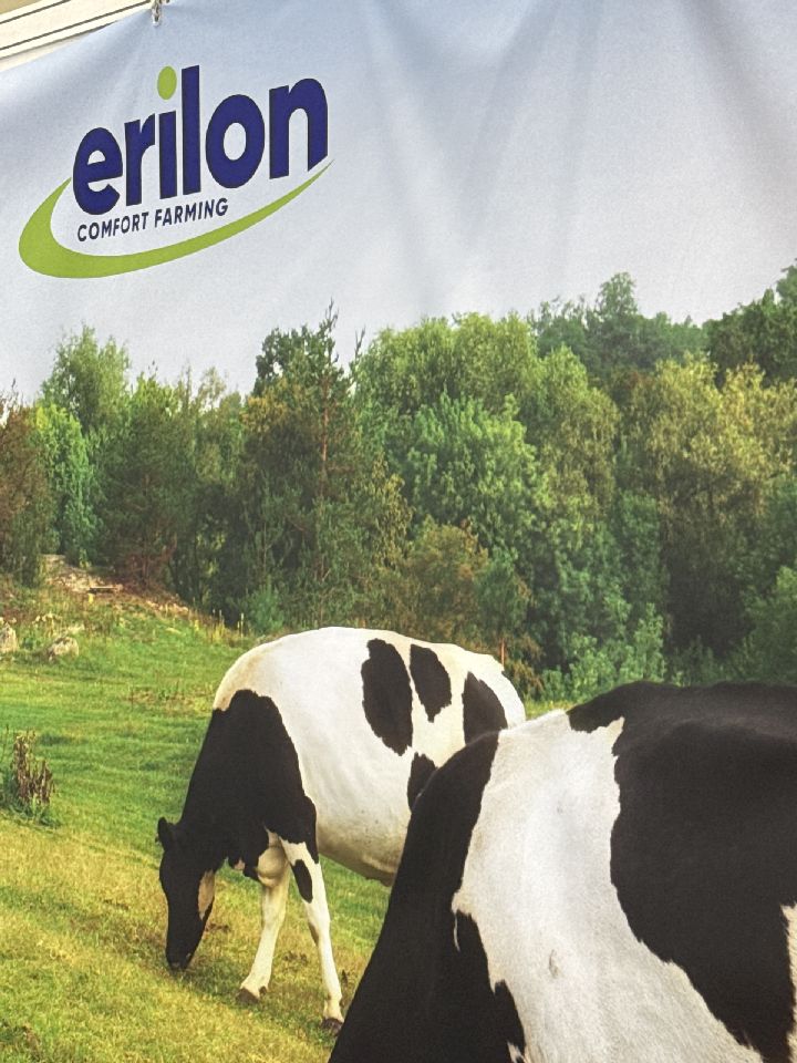 Erilon srl