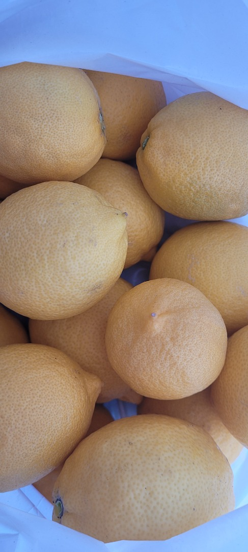 Limones | Imagen 1