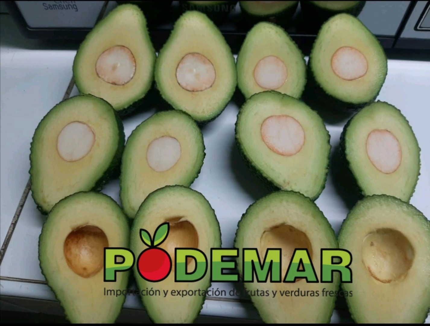 Aguacate | Imagine 3