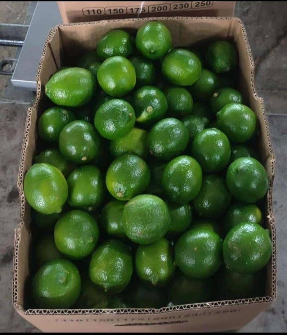 Limas | Image 2