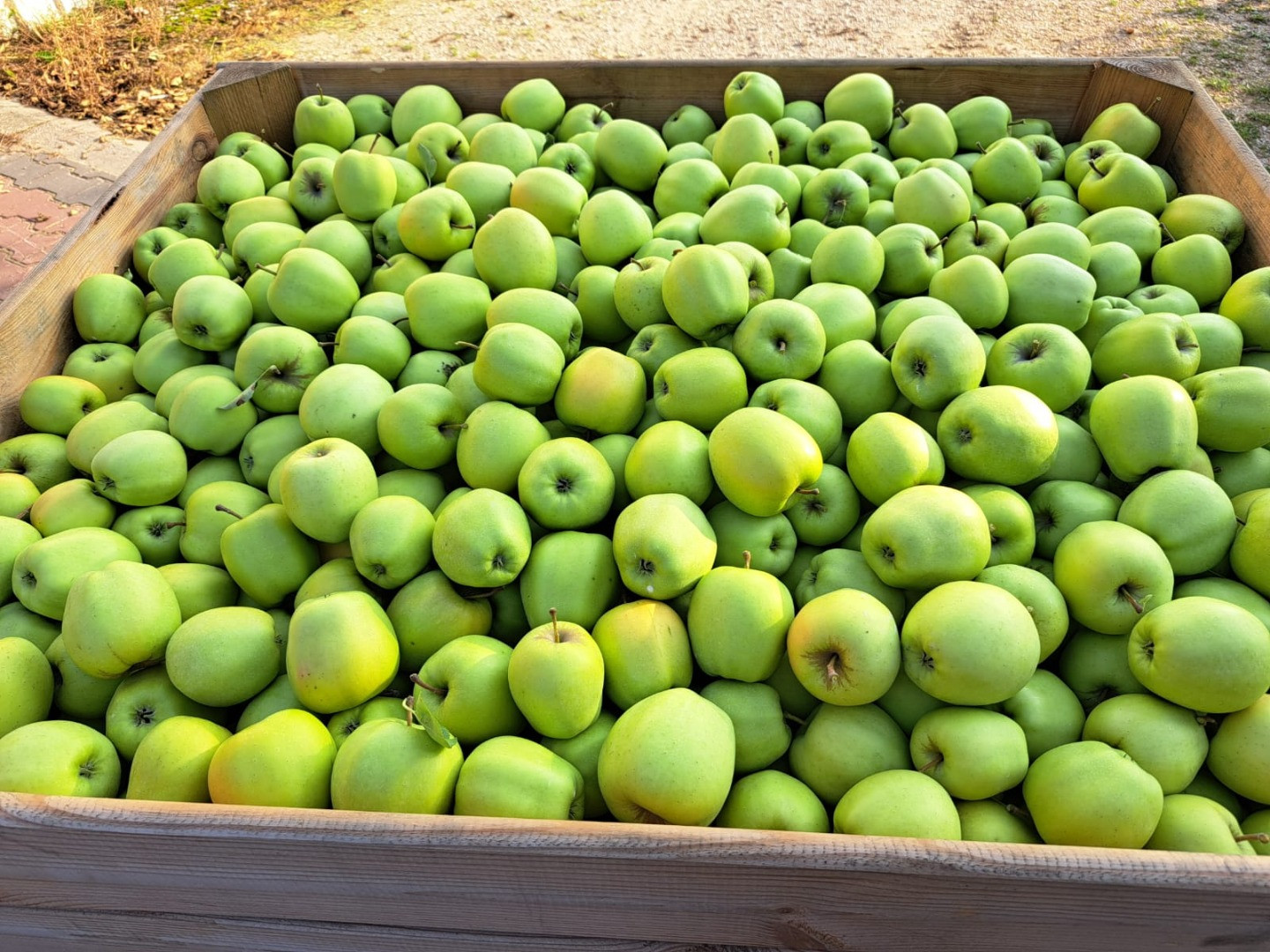 Manzanas | Imagen 1