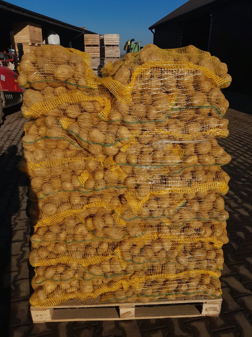 Patatas | Imagine 2