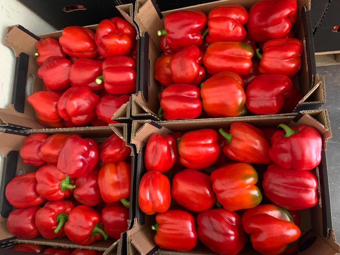 Pimiento rojo | Imagine 2