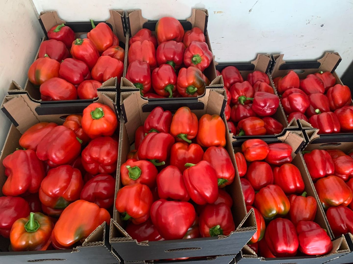 Pimiento rojo | Imagine 3