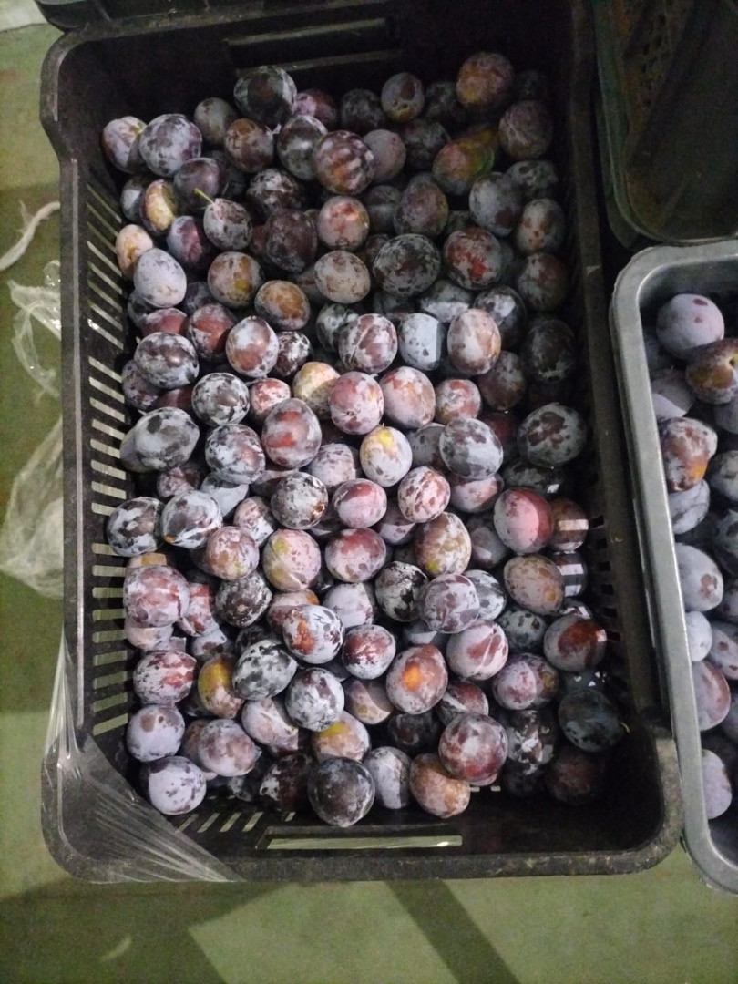 Ciruelas | Imagen 1