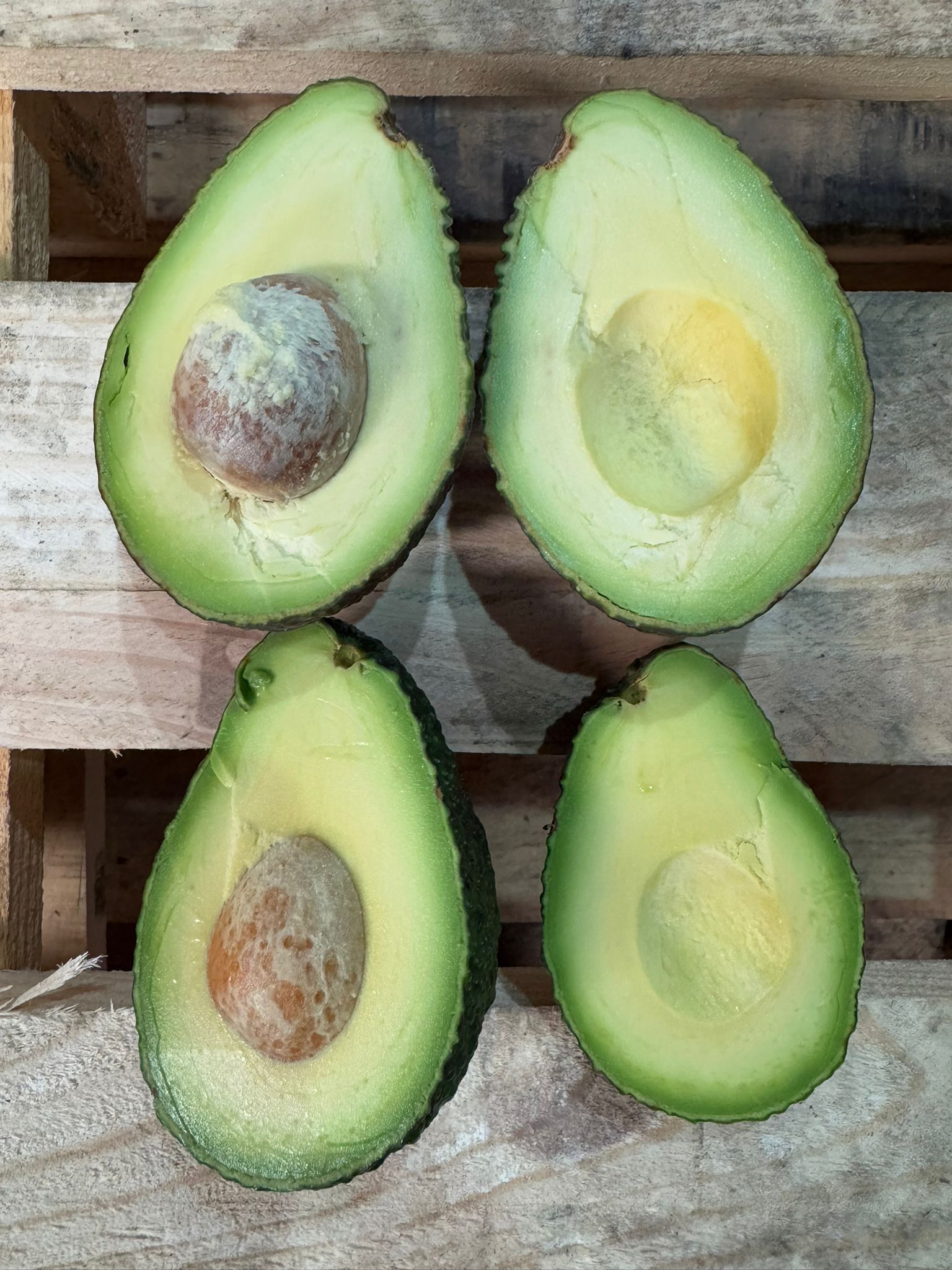 aguacate | Imagen 2