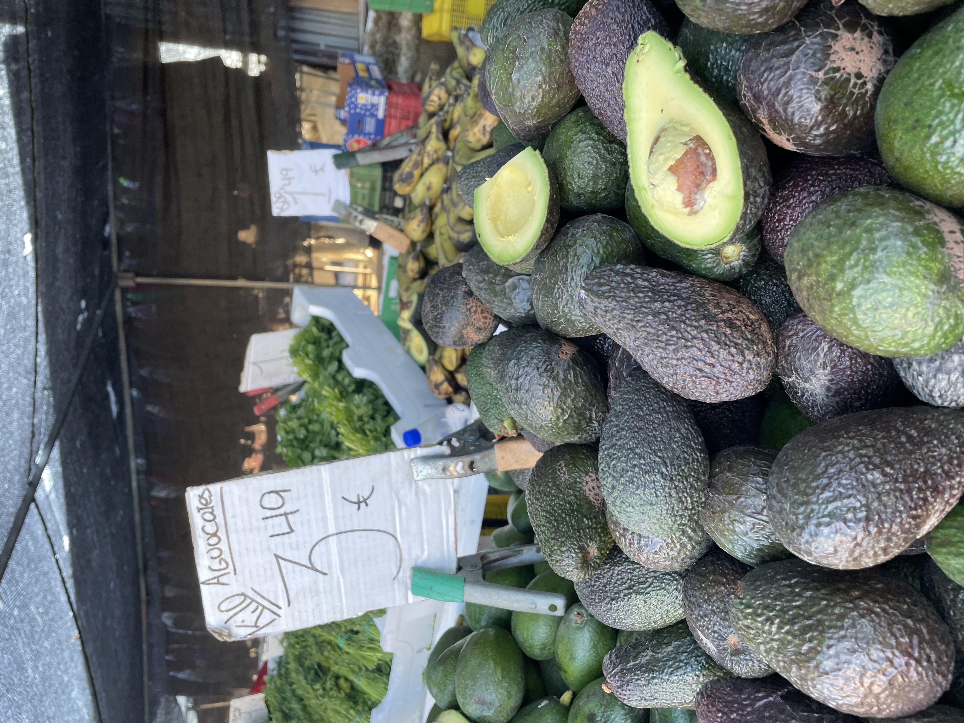 Aguacate | Image 2
