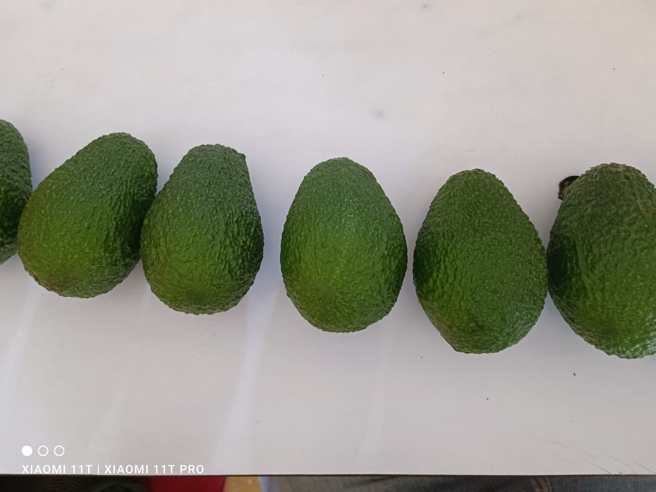 Aguacate | Imagine 1