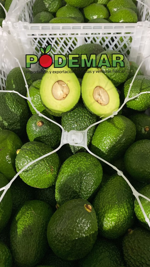 Aguacate | Imagine 2
