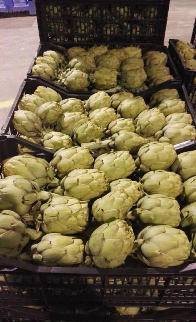 Multiagro Fresh